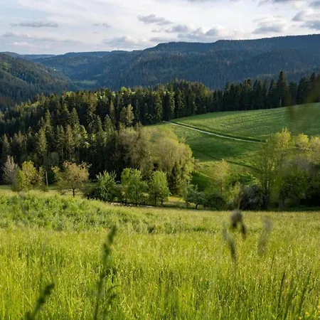 Holiday home In In The Ortenau District Mahlberg
