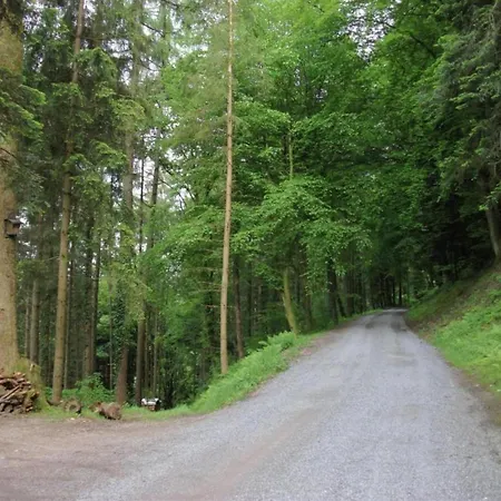 In In The Ortenau District *