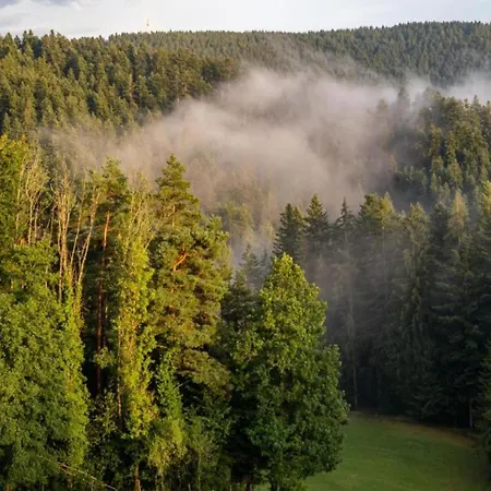 In In The Ortenau District Mahlberg
