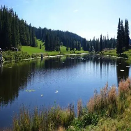 In In The Ortenau District Mahlberg