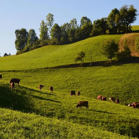 In In The Ortenau District * Mahlberg